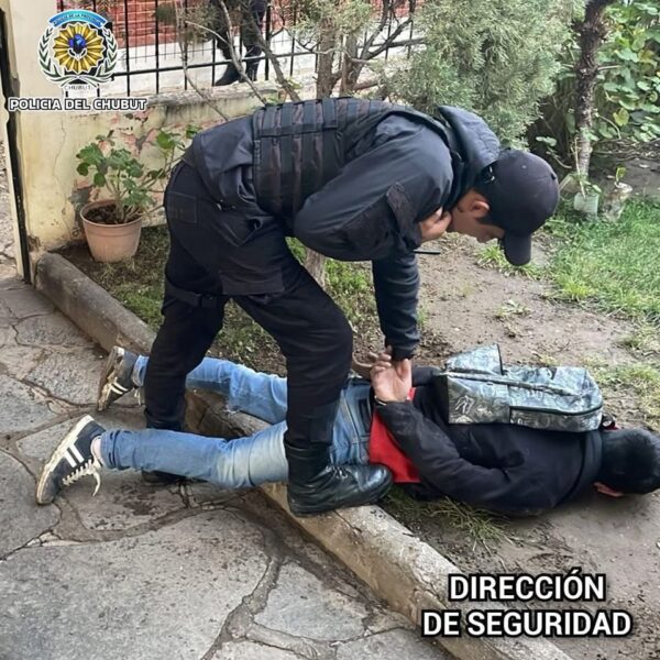 Intentó escapar por los techos con un televisor robado: fue detenido en Pasaje Alvear