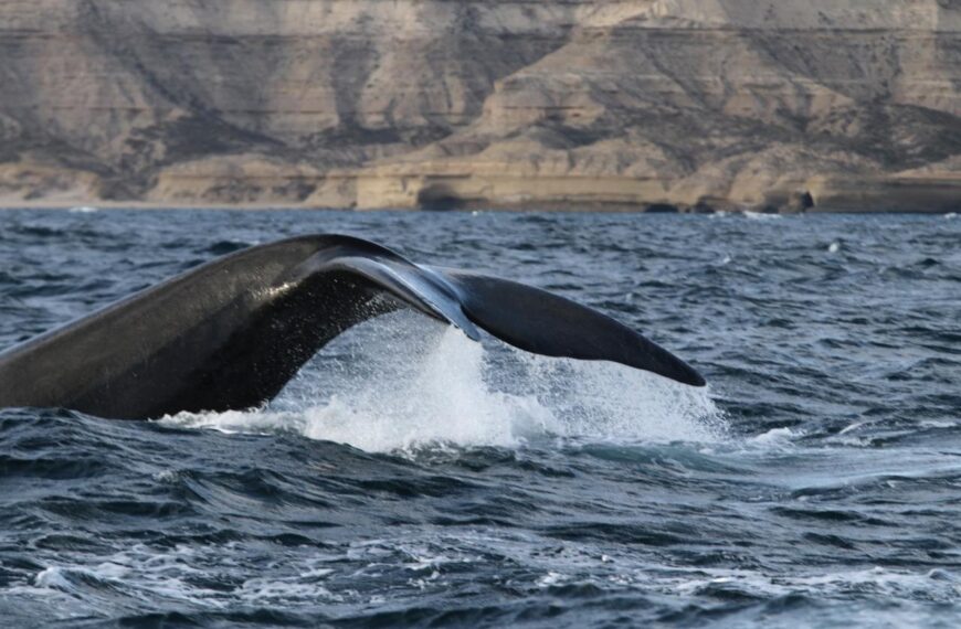 Turismo austero pero sostenido: más de 2,1 millones de viajeros en los fines de semana largos de junio