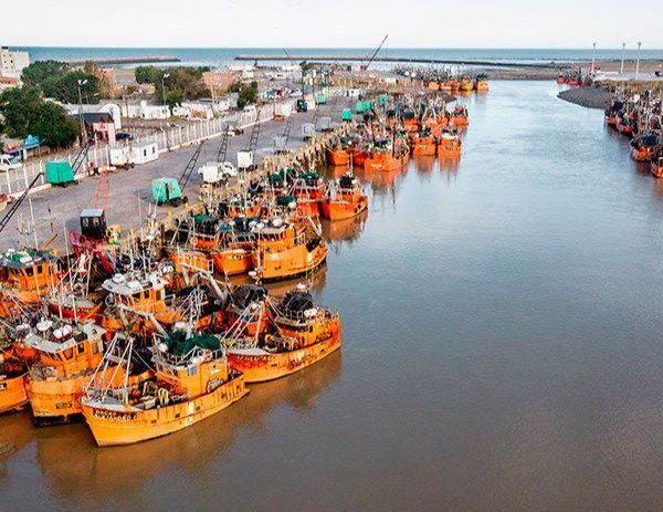 Brandán pidió una intervención urgente del Gobierno Nacional para destrabar el conflicto pesquero en Chubut