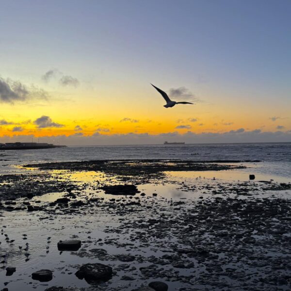 Martes nublado con leve descenso de viento