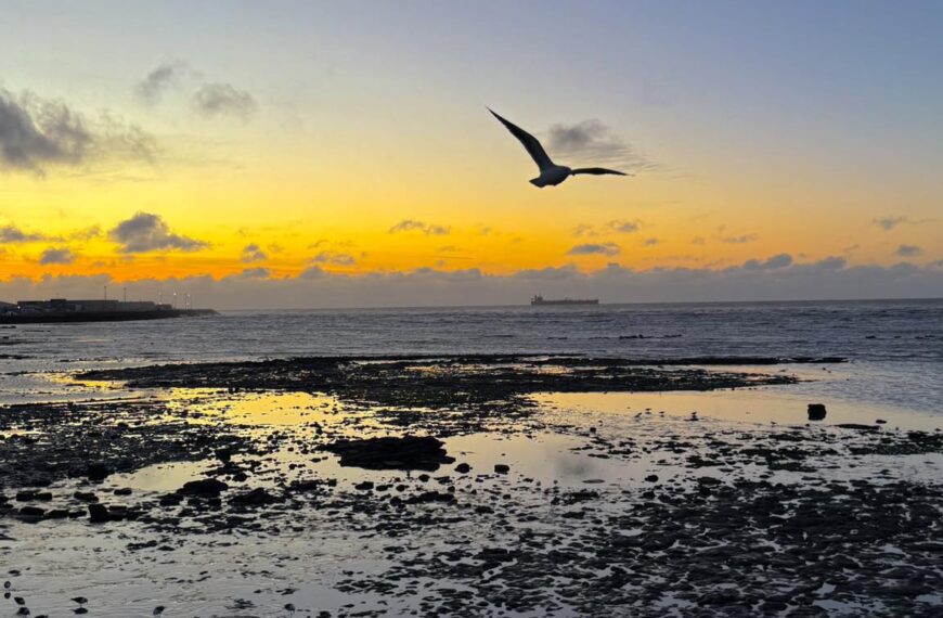 Martes nublado con leve descenso de viento