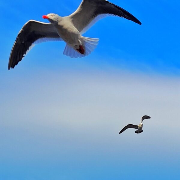 Martes con algo de vientos y probabilidad de lluvia durante la mañana