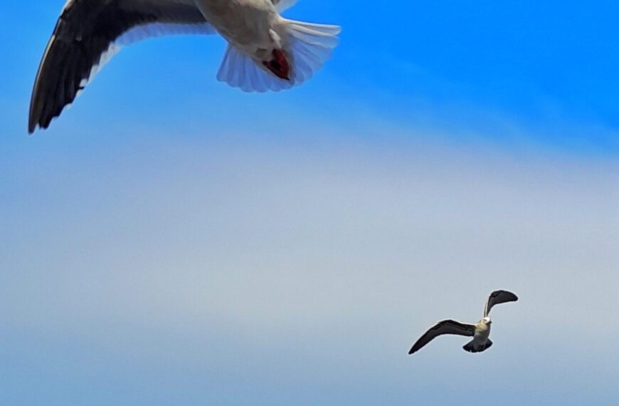 Martes con algo de vientos y probabilidad de lluvia durante la mañana