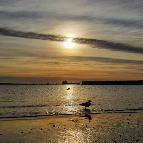 Miércoles frío y con probabilidades de lluvias