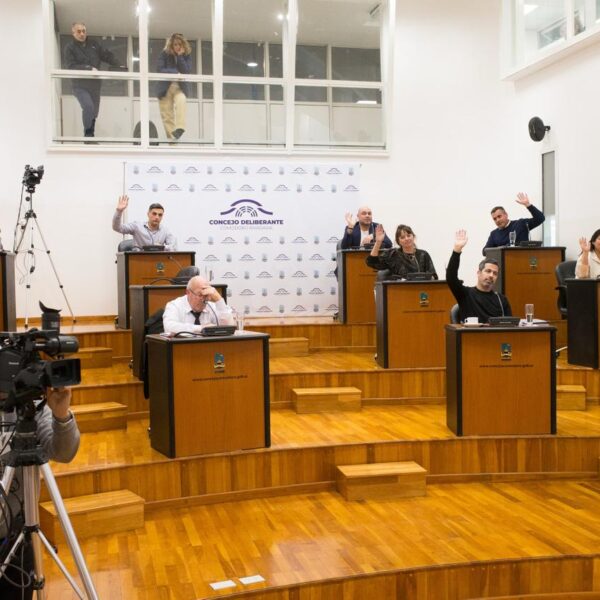 El Concejo aprobó los pliegos para licitar el nuevo sistema de transporte público