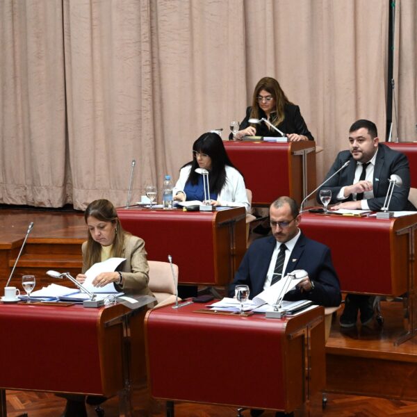 La Legislatura aprobó acuerdos clave para fortalecer los derechos de Chubut sobre YPF y avanzar en infraestructura energética