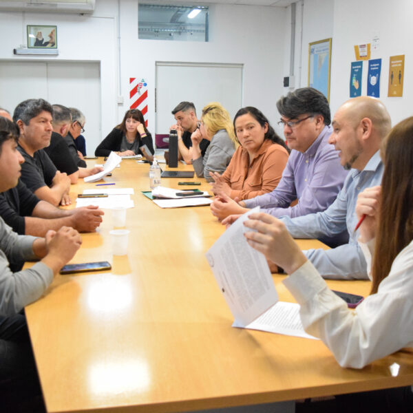 Avanza la actualización de la ordenanza de taxis en Comodoro: aplicaciones, nuevas paradas y vehículos híbridos