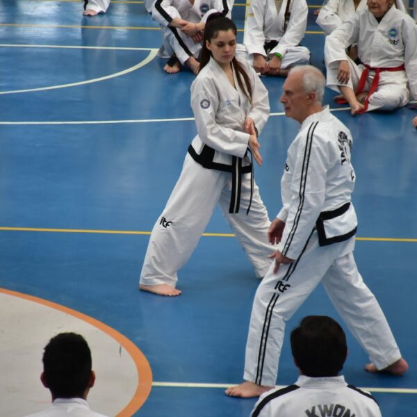 Héctor Marano, referente mundial del Taekwondo dictó una Master Class en Comodoro
