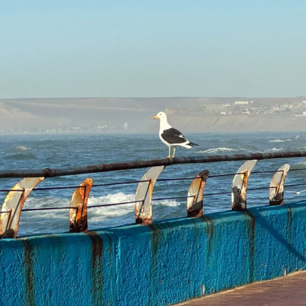 Lunes fresco y sin viento