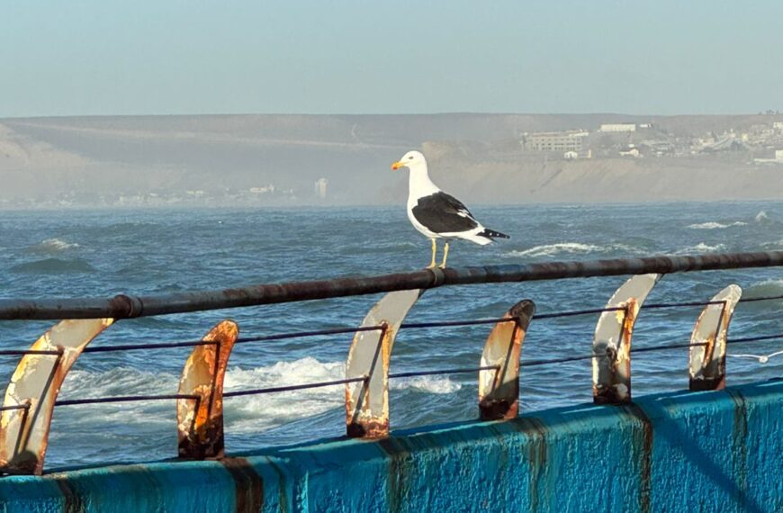 Lunes fresco y sin viento