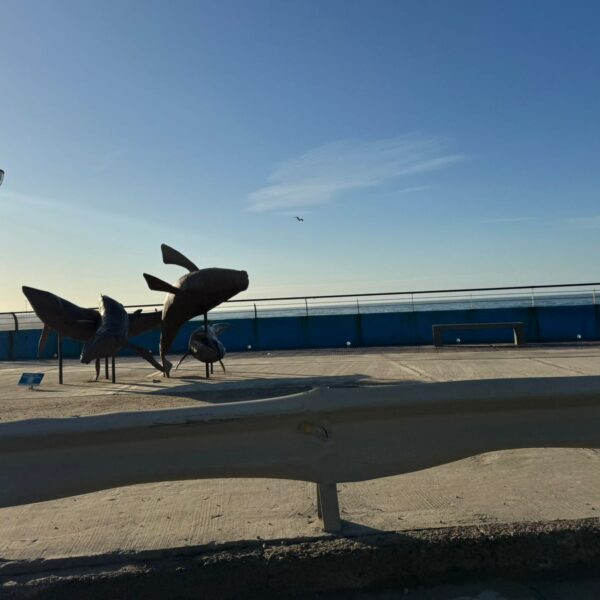 Jueves con probabilidades de lluvia