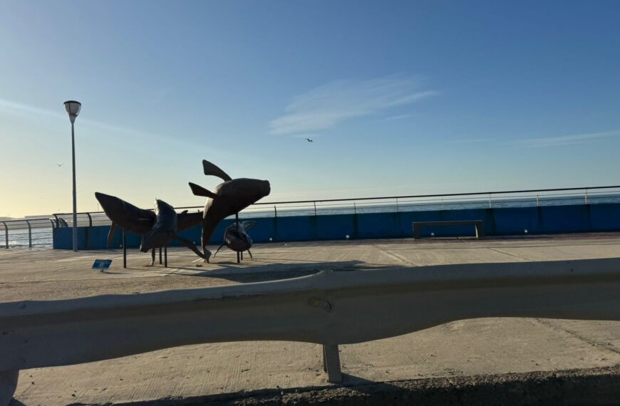 Jueves con probabilidades de lluvia