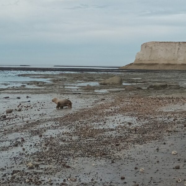Miércoles frío con lluvias