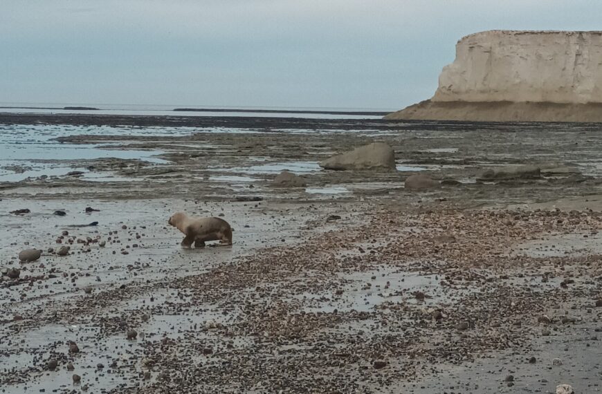 Miércoles frío con lluvias