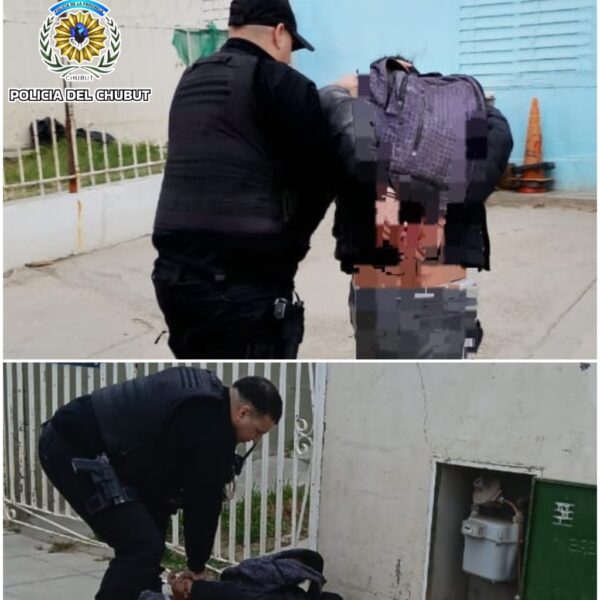 Fue detenido cuando intentaba robar un medidor de gas