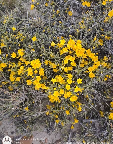 Así estará el primer domingo de primavera