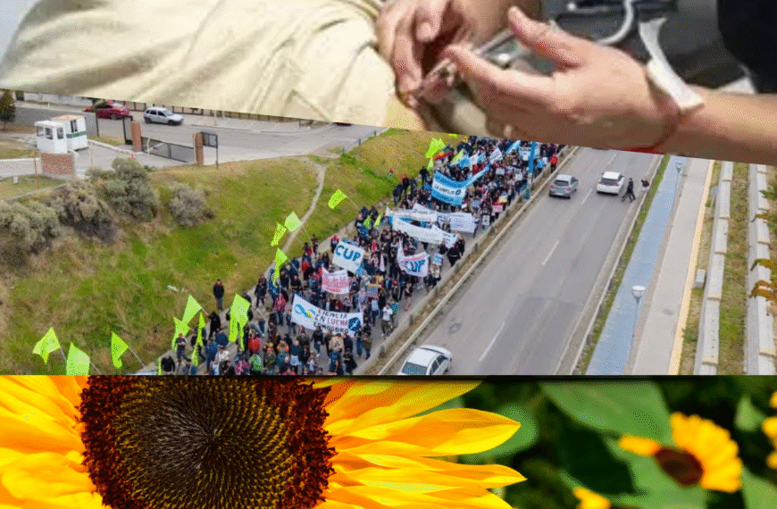 ¿Qué hay para celebrar? Día del Estudiante, de la Primavera y de la Sanidad en un contexto de debate