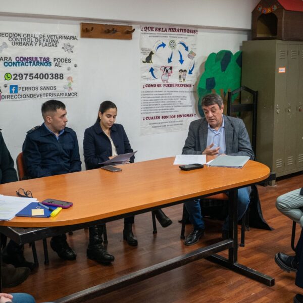 Municipio junto a la Fiscalía, avanza en la aplicación del protocolo por casos de maltrato animal