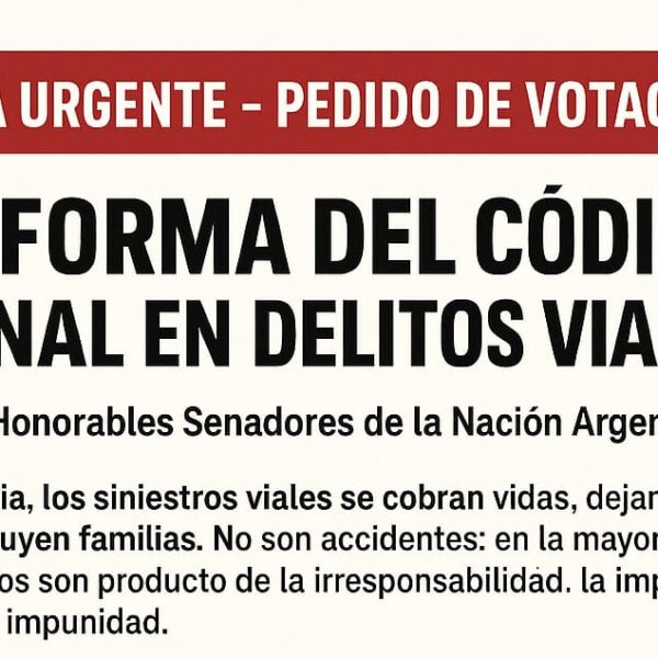 Mañana el Senado trata la Reforma del Código Penal en Delitos Viales