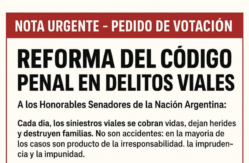Mañana el Senado trata la Reforma del Código Penal en Delitos Viales