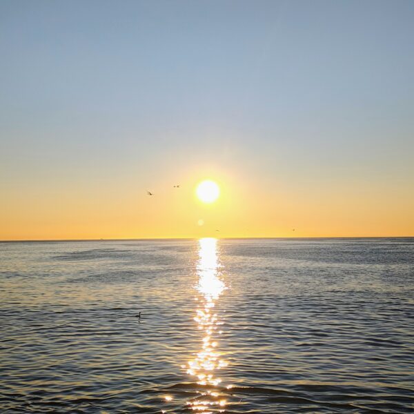 Así estará este jueves