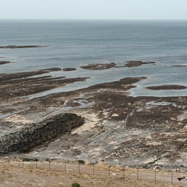 El viento no da tregua en Comodoro y Rada Tilly