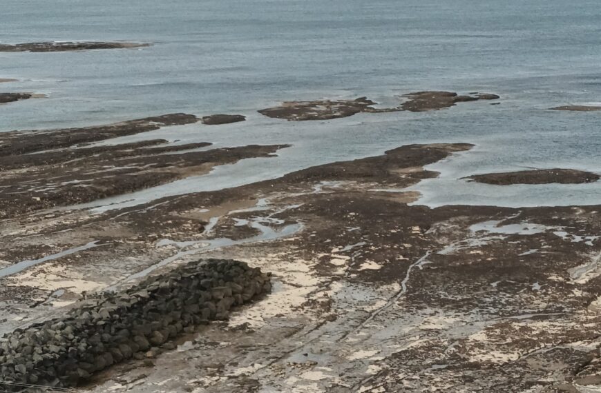El viento no da tregua en Comodoro y Rada Tilly