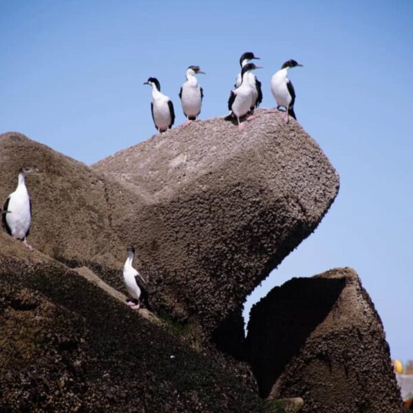 Así será el clima de este martes