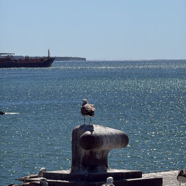 Semana con chaparrones aislados y viento