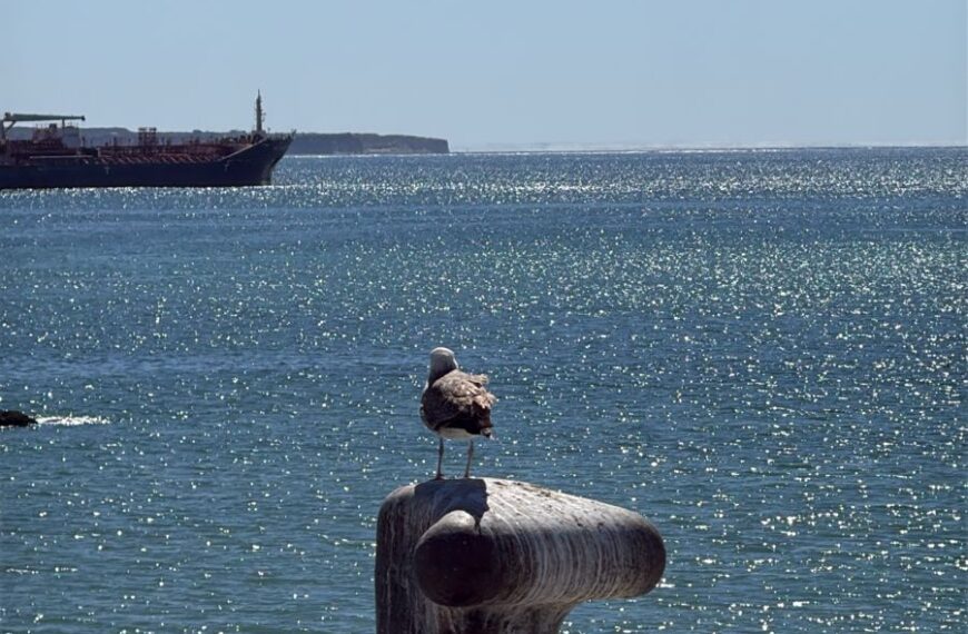 Semana con chaparrones aislados y viento