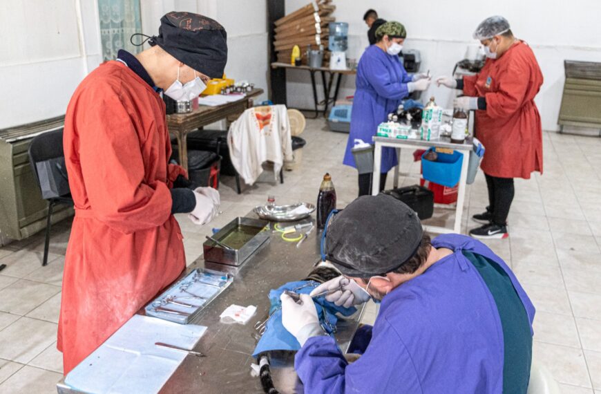 Comodoro participa de la IV Jornada de Castración Masiva en América Latina