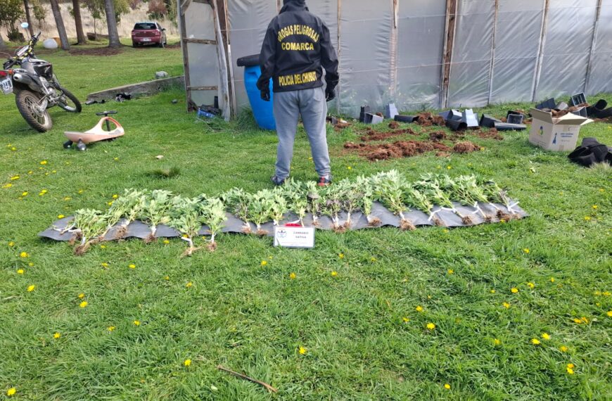 Operativo “Sueño Ácido”: desarticulan red de distribución de drogas psicodélicas entre El Bolsón y Comodoro Rivadavia