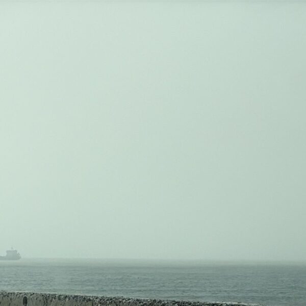 Aldo Sánchez: “El viento seguirá presente en la región y mañana se espera alerta naranja”