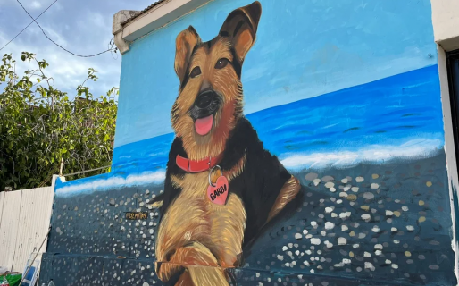 Demolieron el mural de Barbi:…
