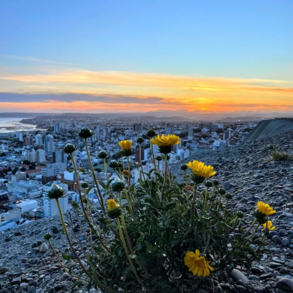 Jueves lluvioso para Comodoro y Rada Tilly