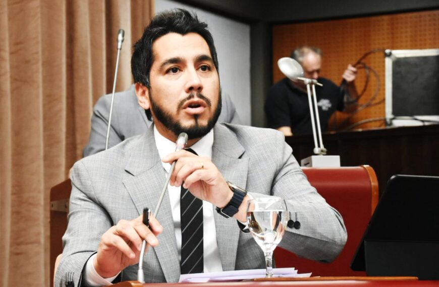 Coliñir apuntó contra la gestión…