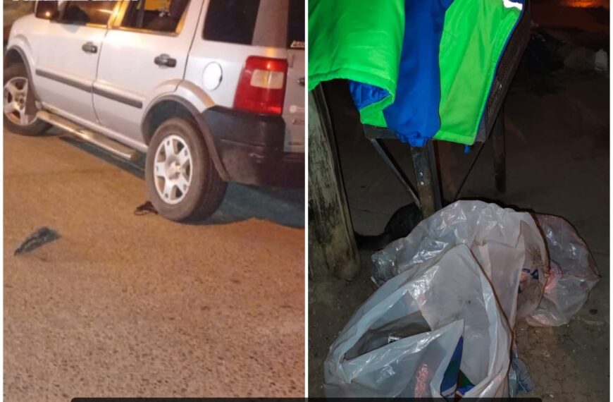 Robó pertenencias de un auto y sufrió convulsiones al ser alcanzado por la víctima