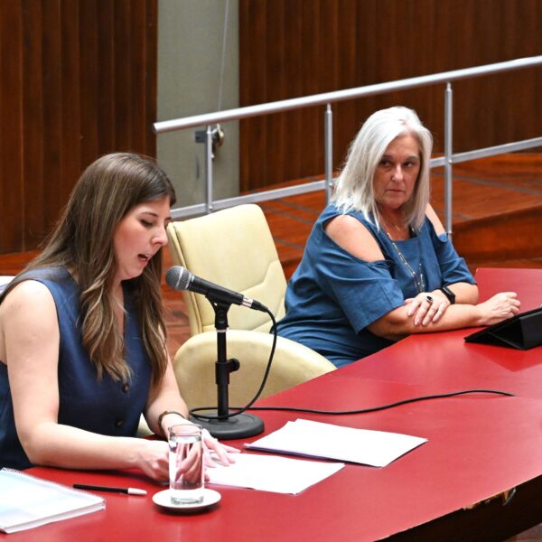 La Legislatura del Chubut realizó una sesión especial para que los senadores presenten su informe anual
