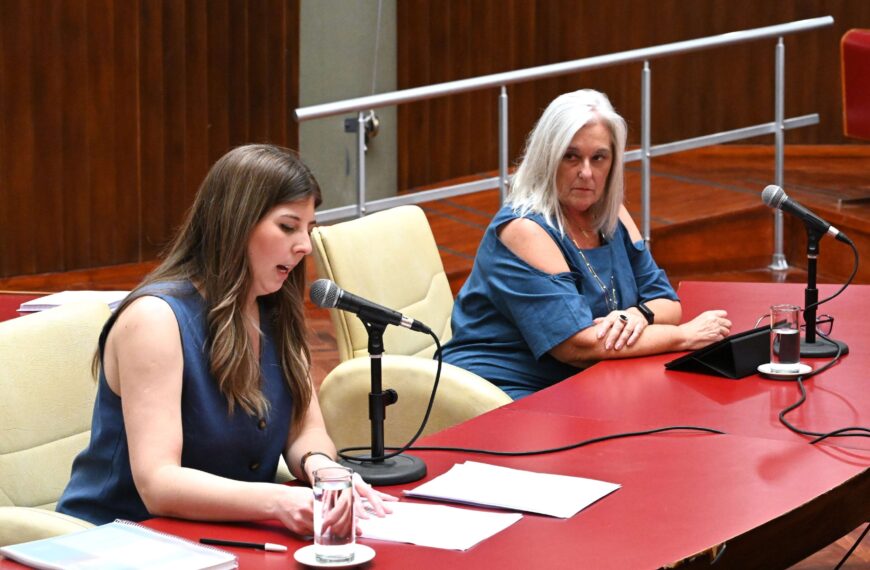 La Legislatura del Chubut realizó una sesión especial para que los senadores presenten su informe anual