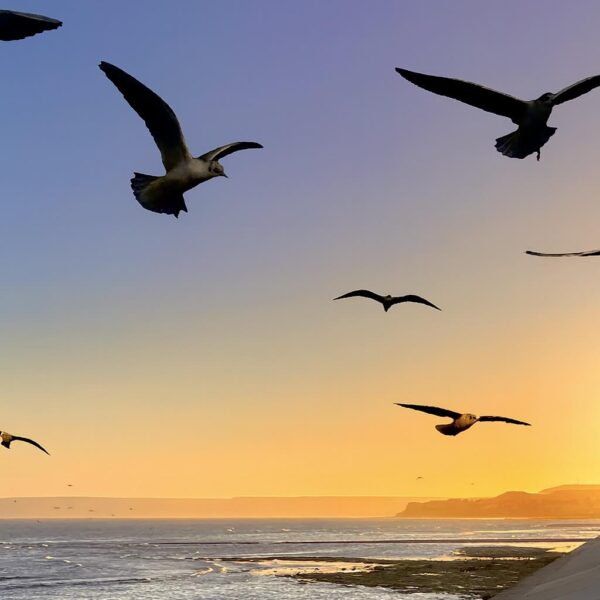 Así estará el martes en Comodoro y Rada Tilly