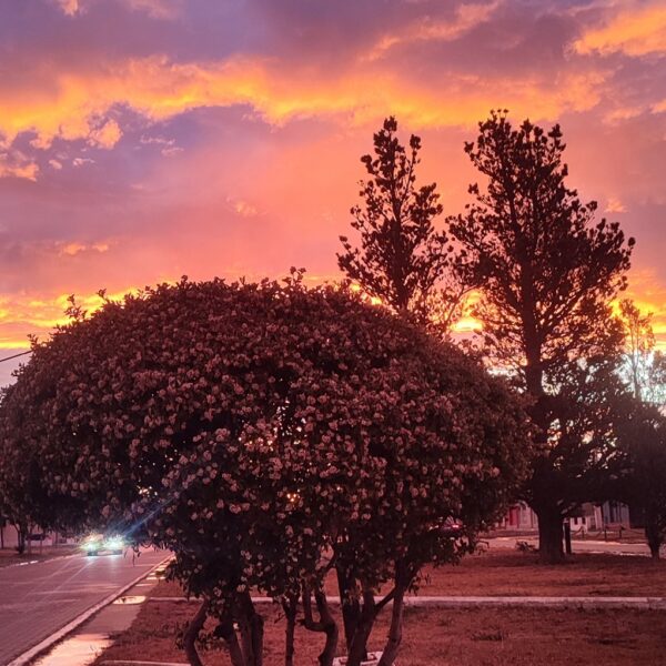 Amanece el martes con viento
