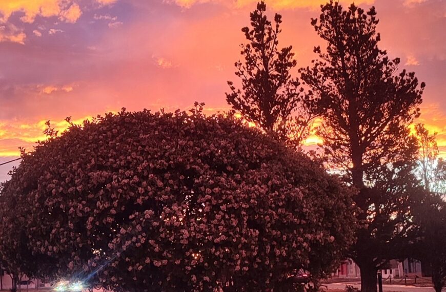 Amanece el martes con viento