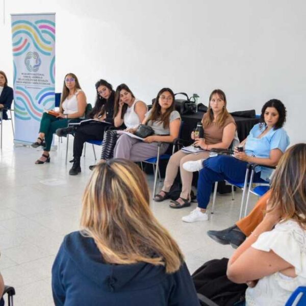 Cierre anual de la Mesa Intersectorial para el abordaje de las violencias sexuales contra niños, niñas y adolescentes