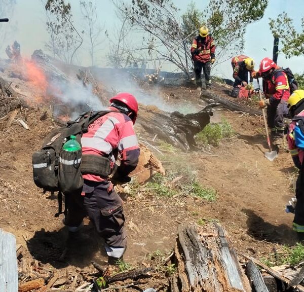Provincia mantiene el intenso operativo para controlar el incendio en El Turbio