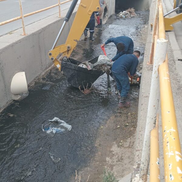 Continúan las tareas de limpieza y mantenimiento en el canal de Avenida Roca