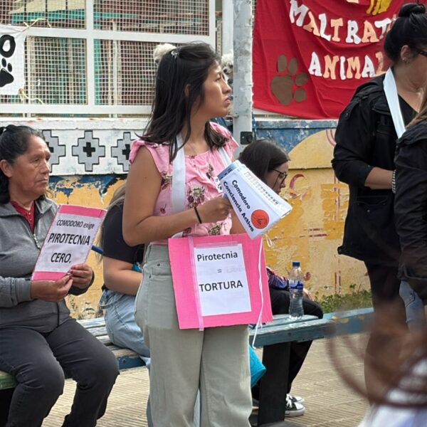 Gran convocatoria y movilización en Comodoro por la prohibición de la pirotecnia