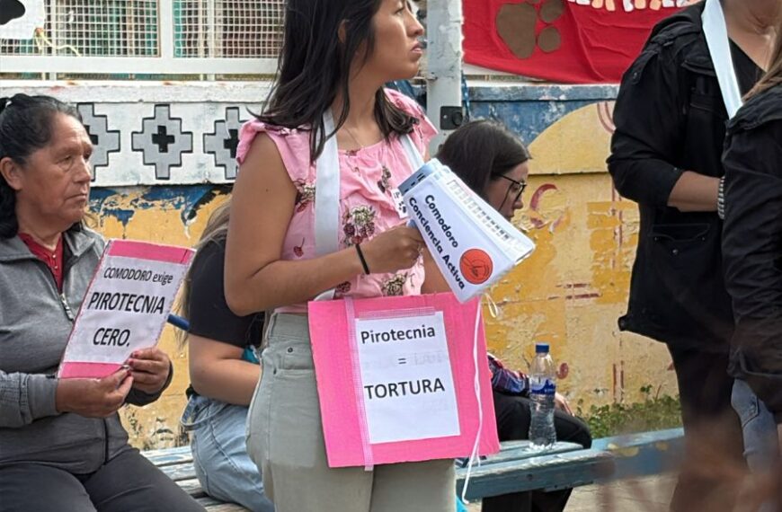 Gran convocatoria y movilización en Comodoro por la prohibición de la pirotecnia