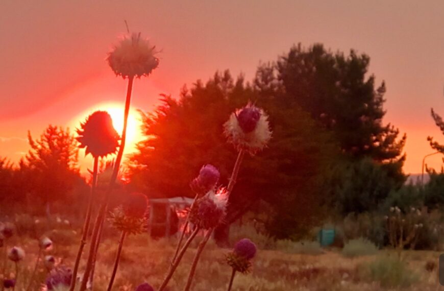Sigue el viento y el calor