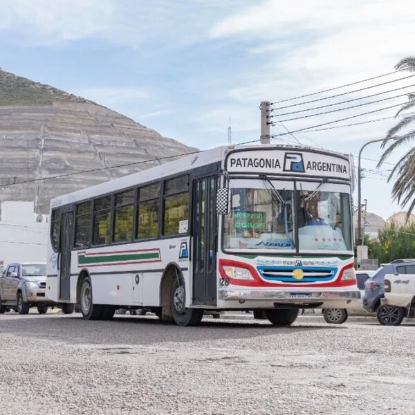 Se extiende la vigencia del uso del CUD para viajar gratuitamente en el transporte público
