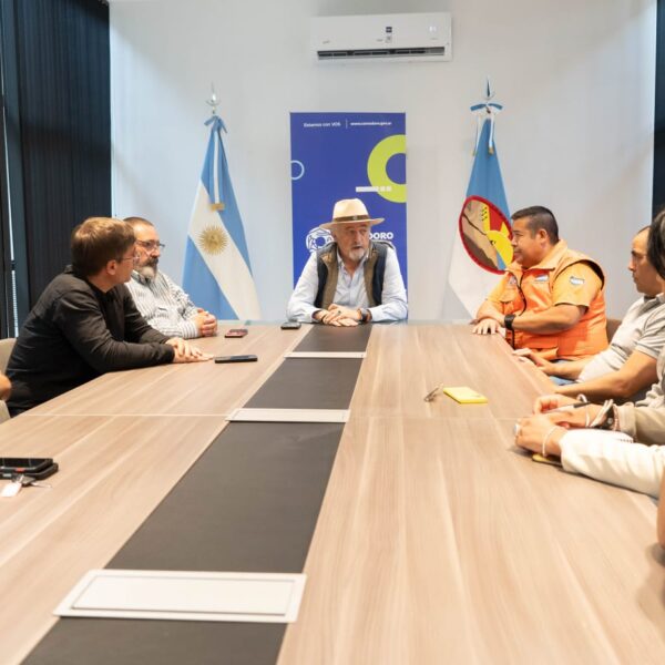 El intendente activó un protocolo técnico de monitoreo ante el movimiento de suelo en el Cerro Hermitte